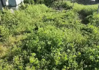 Affordable Landscaper