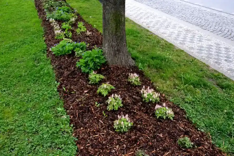 Benefits Of Professional Mulch Installation Services in Effingham, SC