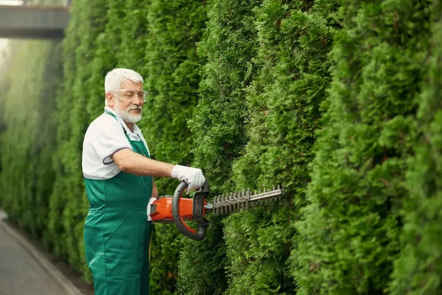 Benefits Of Regular Hedge Trimming Services Effingham, SC Benefits Of Regular Hedge Trimming Services Effingham, SC