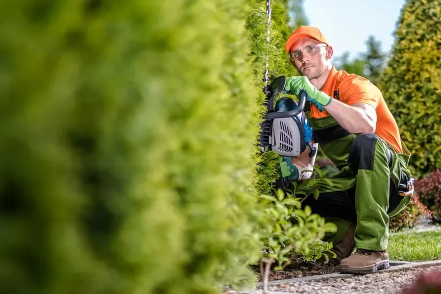 Benefits Of Regular Hedge Trimming Services in Effingham, SC Benefits Of Regular Hedge Trimming Services in Effingham, SC