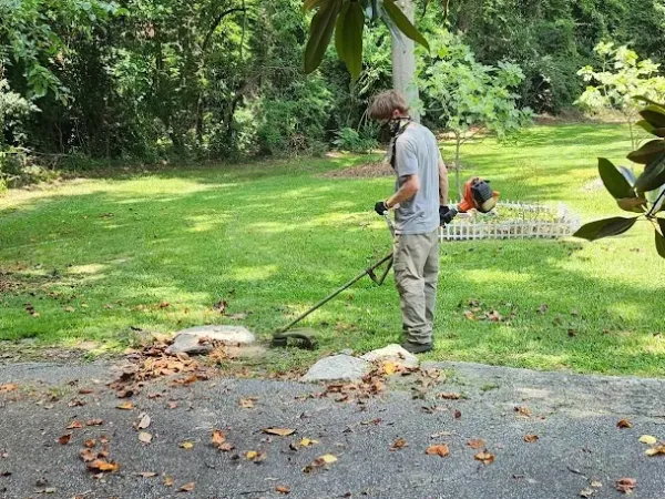 By The Yard Lawn Care's Other Services