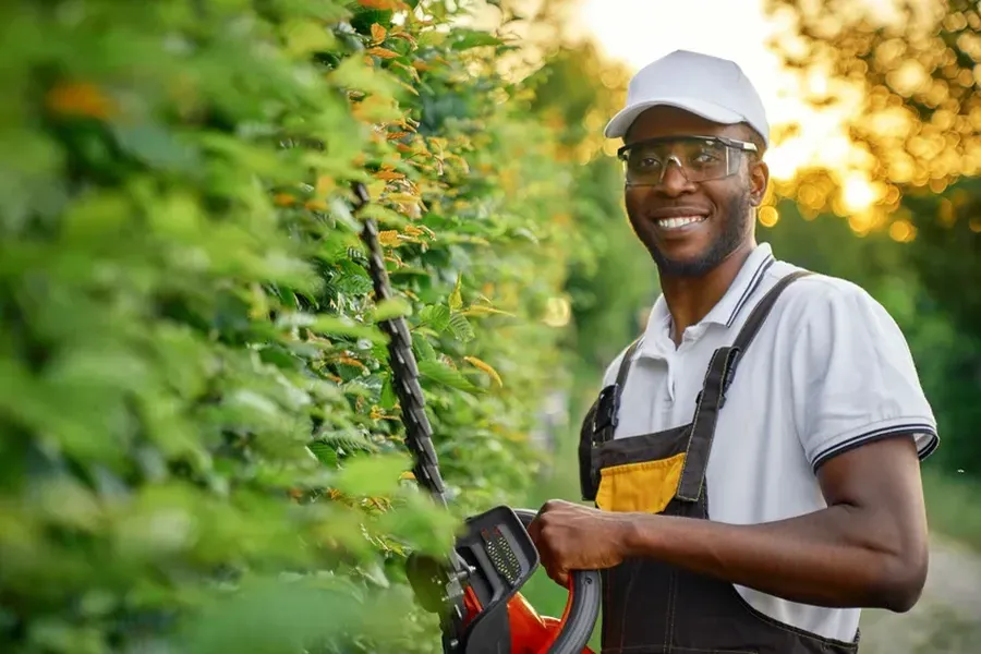 Common Hedge Trimming Mistakes To Avoid Effingham, SC