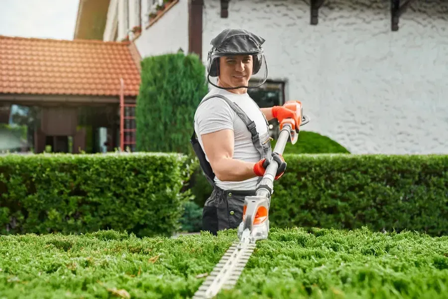 Common Hedge Trimming Mistakes To Avoid in Effingham, SC