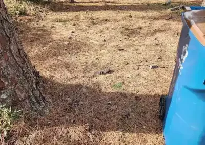 Dependable Landscaping Company