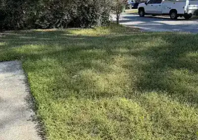 Excellent Landscape Company