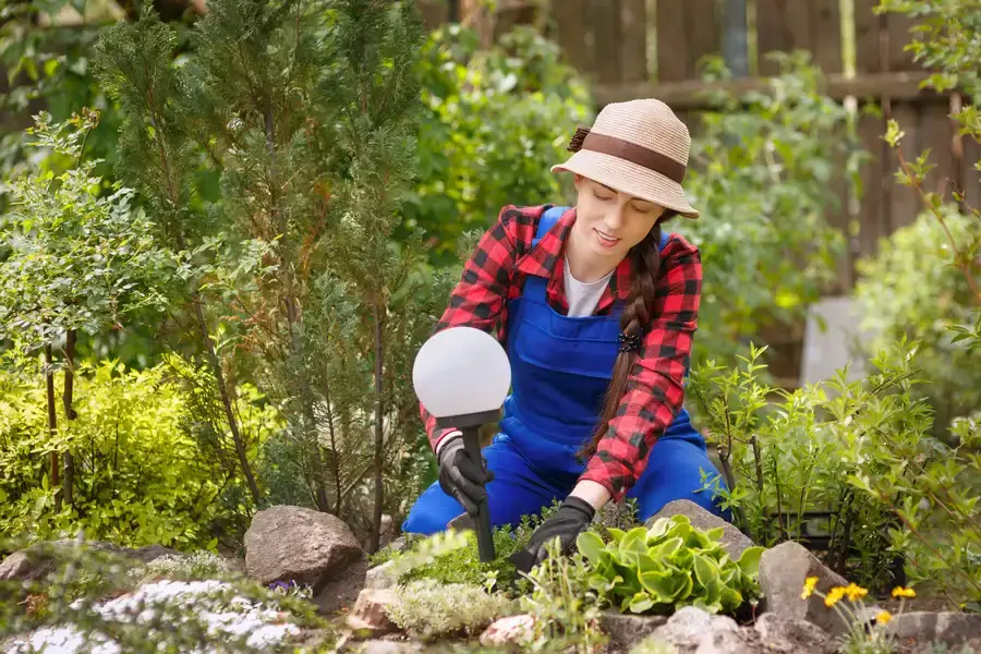 Experienced Landscape Installation Effingham, SC