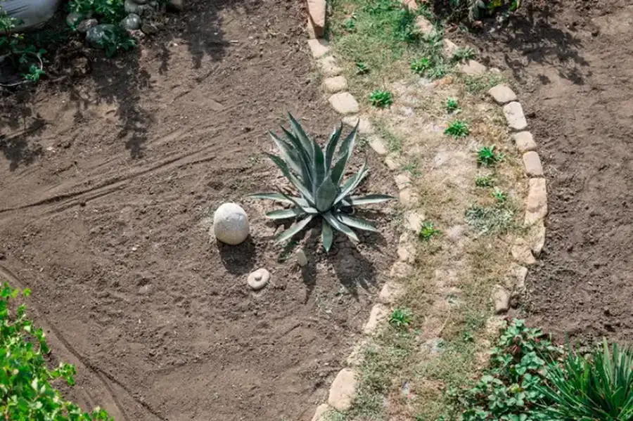 Landscape Installation Planning For Homeowners Guide Effingham, SC