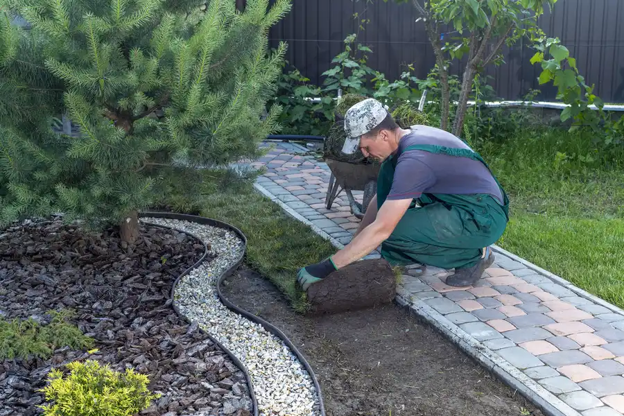 Landscape Installation Planning For Homeowners Guide in Effingham, SC