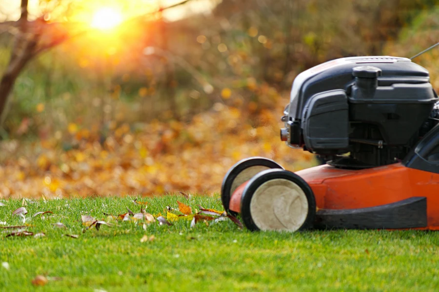 Lawn Care Tools Every Professional Landscaper Needs Effingham, SC