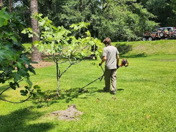 Lawn Care