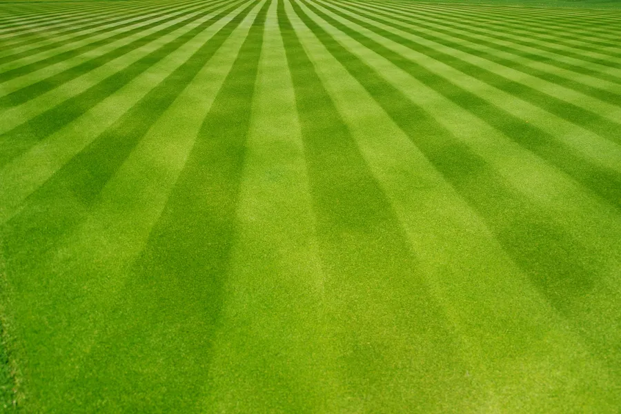 Local Lawn Care Effingham, SC