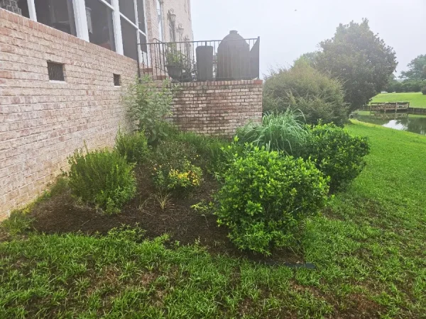 Mulch Installation