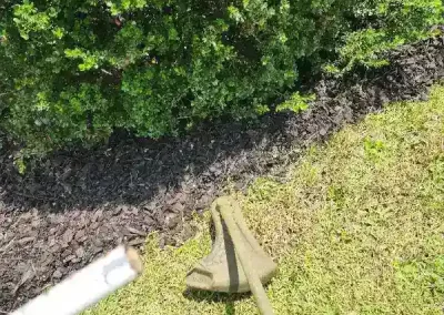 Reliable Landscape Maintenance