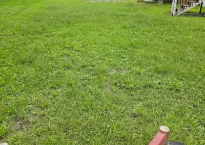 Reliable Landscape Maintenance