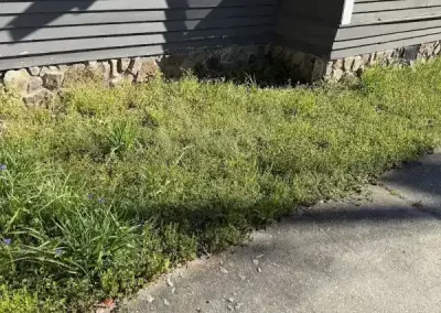 Reliable Landscape Maintenance