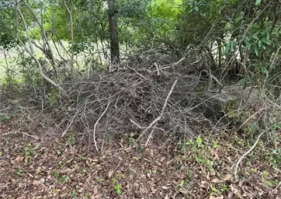 Reliable Landscape Maintenance
