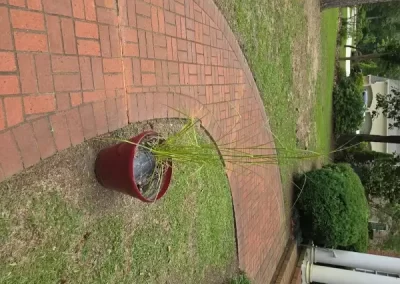 Reliable Landscape Maintenance