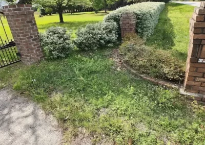 Reliable Landscape Maintenance
