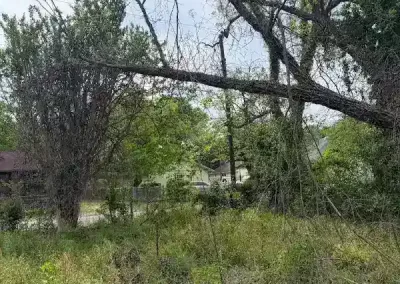 Reliable Landscape Maintenance