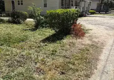 Reliable Landscape Maintenance