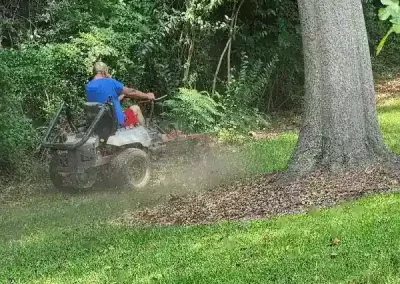 Reliable Landscape Maintenance