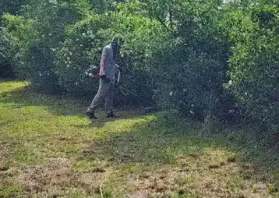 Reliable Landscape Maintenance