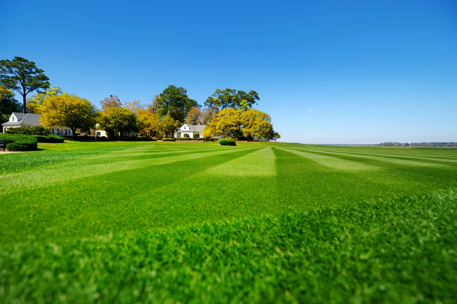 Reputable Lawn Care Effingham, SC