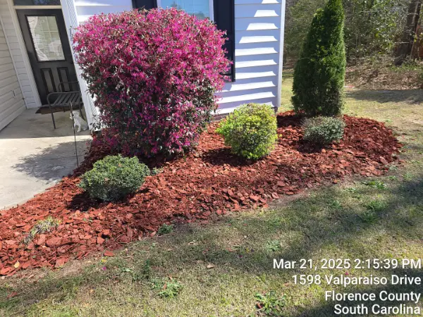Reputed Landscaper