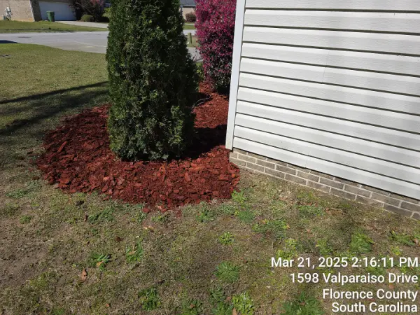 Reputed Landscaper