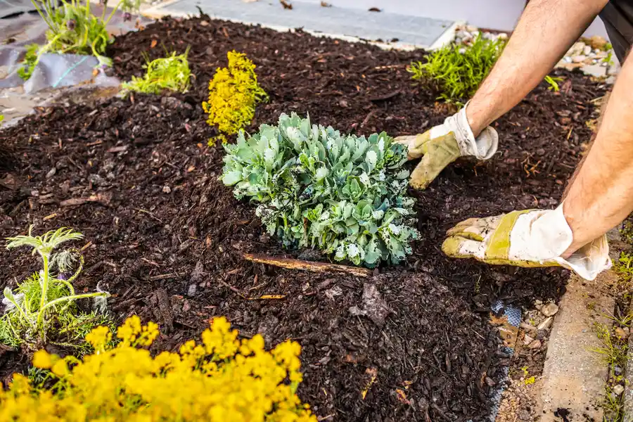 Superior Mulch Installation Effingham, SC