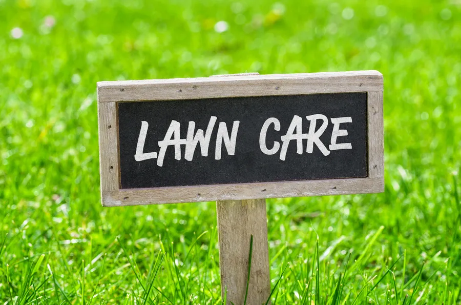 The Importance Of Aeration In Professional Lawn Care in Effingham, SC